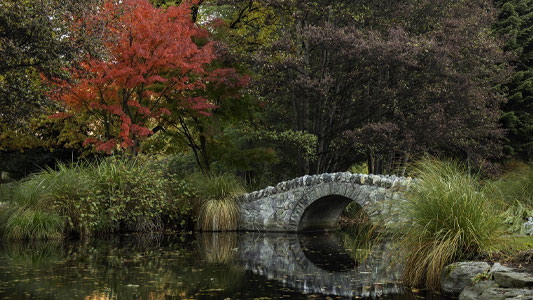 queenstown-gardens-in-autumn
