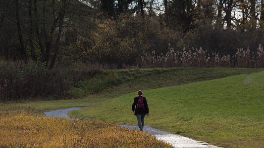 nature-walks-around-queenstown