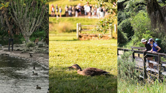 kiwi-park-queenstown