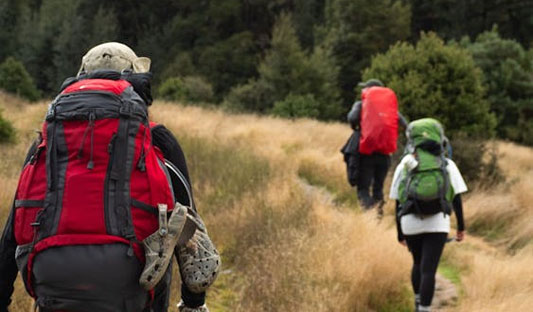 hiking-and-walking-tracks