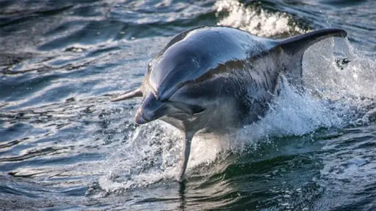 dramatic-fjord-landscapes
