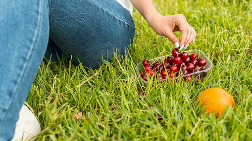 Seasonal-Fruit-Stops