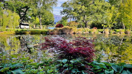 queenstown-gardens-winter