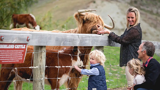 Queenstown-Farmers-Market