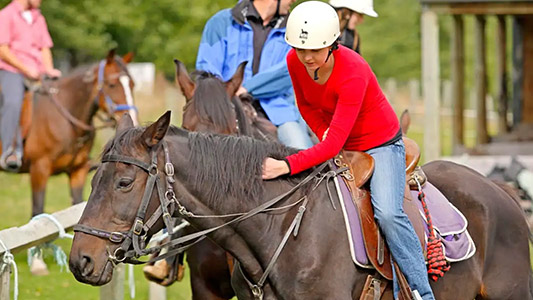 skyline-gondola-experience