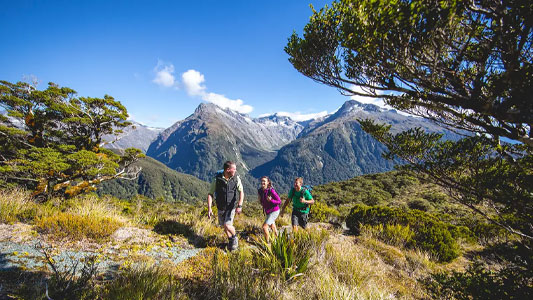 routeburn-track-day-walks